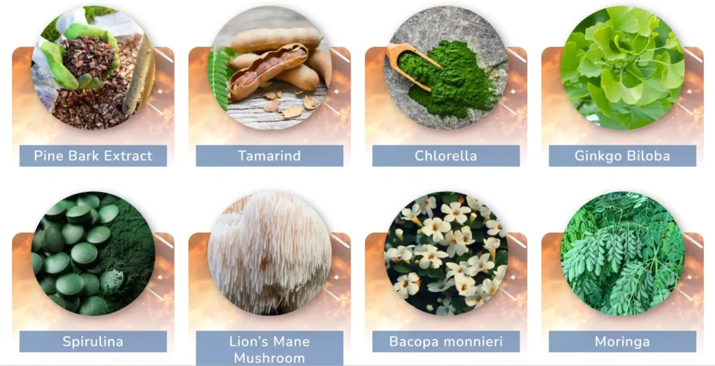 JointVive Real Ingredient Image